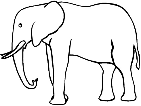 Coloriage éléphant Luxe Photos Elephant De Profil 490×368