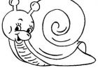 Coloriage Escargot Beau Stock Coloriages Escargots Page 1 Animaux