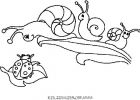 Coloriage Escargot Luxe Images Les Enfants Et Les Escargots