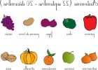 Coloriage Feuilles D'automne Luxe Galerie Coloriage Fruits D Automne Arouisse