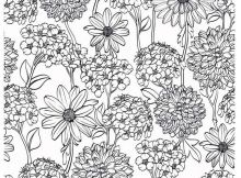 Coloriage Fleur Adulte Unique Photos Coloriage Fleurs Et