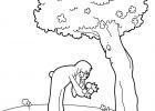 Coloriage Fleurs Printemps Nouveau Photos 53 Best Images About Coloriage On Pinterest
