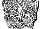 Coloriage Halloween Adulte Cool Photographie Halloween Crane De Squelette Halloween Coloriages