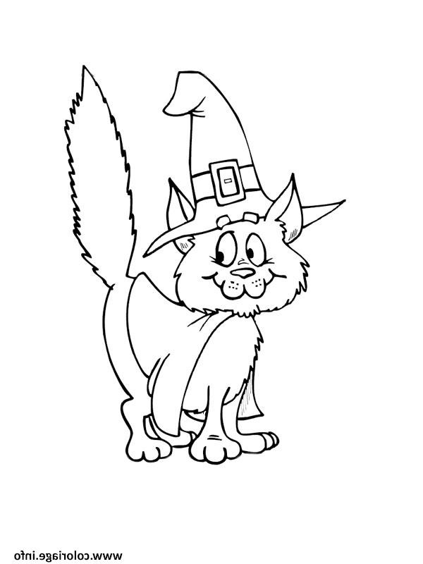 Coloriage Halloween Chat Beau Images Coloriage Chat Halloween sorciere Dessin