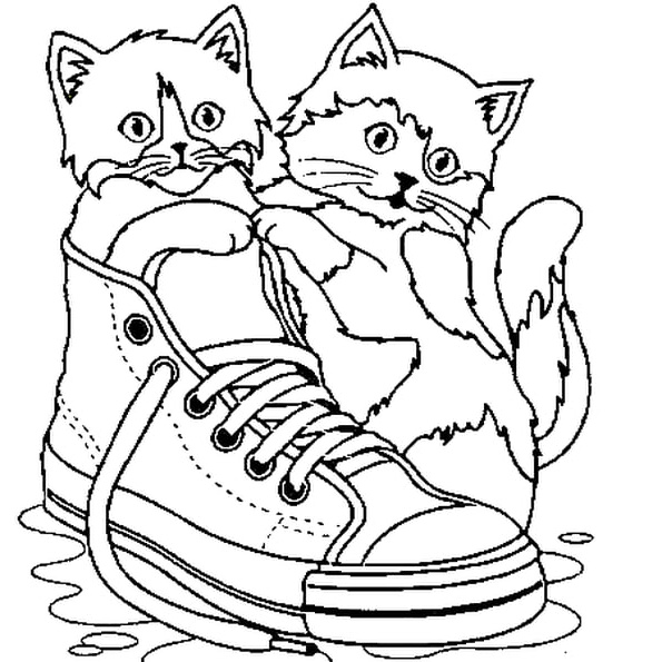 Coloriage Halloween Chat Cool Photographie Petit Chat Coloriage Petit Chat En Ligne Gratuit A
