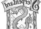 Coloriage Harry Potter à Imprimer Beau Photos Coloriage Blason De Serpentard Harry Potter Dessin