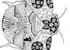 Coloriage Ladybug A Imprimer Beau Photos Coloriage Ladybug Mandala Dessin