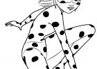 Coloriage Ladybug Et Chat Noir Élégant Galerie Jeux De Coloriage Miraculous Coloriage Miraculous Ladybug