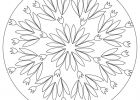 Coloriage Lapin Mandala Impressionnant Stock 25 Best Ideas About Coloriage De Printemps On Pinterest