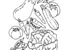 Coloriage Légumes Bestof Collection Coloriage Aliments