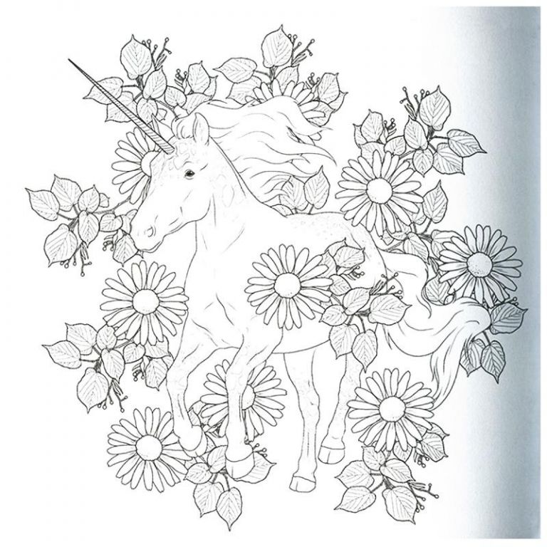 Coloriage Licorne Adulte Beau Image Livre Coloriage Adulte Anti Stress
