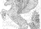 Coloriage Licorne Adulte Luxe Stock Coloriage Cheval Adulte Licorne Ailes Antistress Etoiles