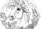 Coloriage Licorne Mandala Élégant Collection Coloriage Cheval Licorne Page 4