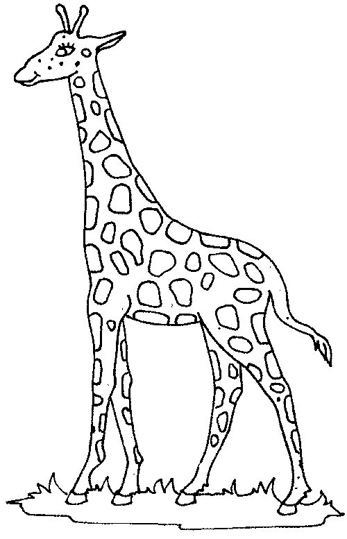 Coloriage Long Nouveau Photos Coloriages De Girafe