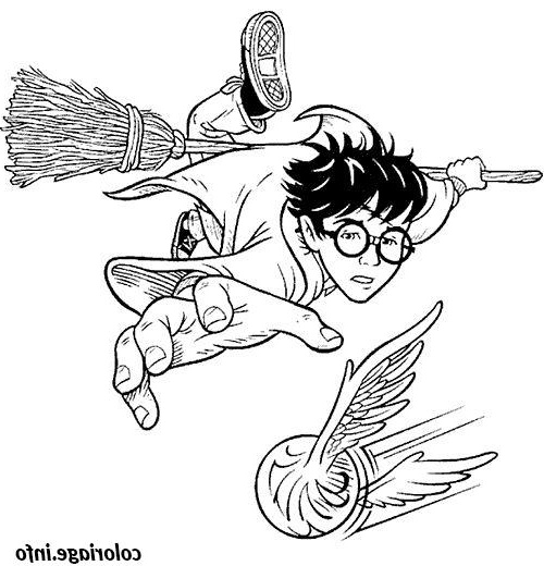 Coloriage Magique Harry Potter Bestof Photos Coloriage Quidditch Harry Balai Magique Volant Dessin