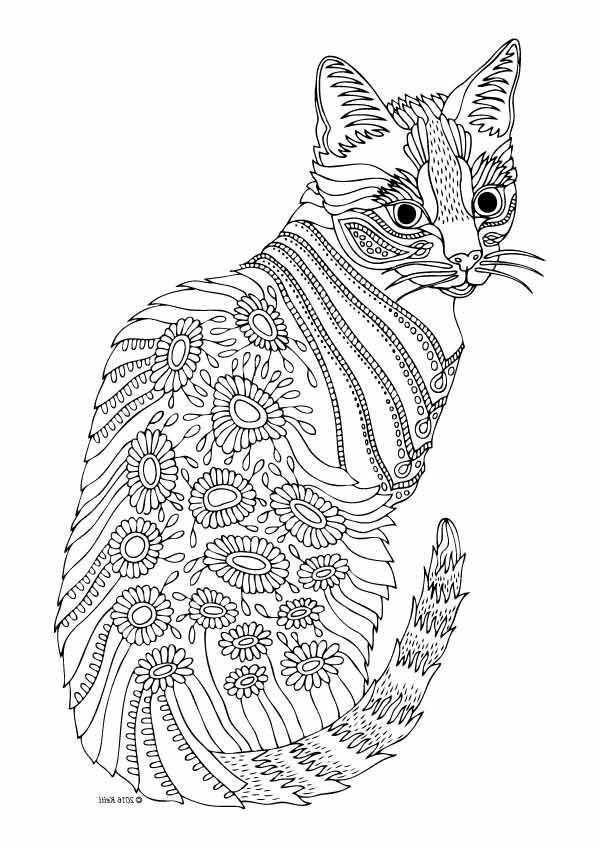 Coloriage Mandala Chaton Luxe Galerie 30 Coloriage Chaton Beau Dssin