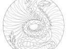 Coloriage Mandala Dragon Bestof Stock Nouveau Coloriage Mandala Yin Yang Dragon