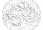 Coloriage Mandala Dragon Nouveau Collection Dragon Coloriages Pour Enfants