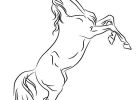 Coloriage Mustang Luxe Galerie 191 Best Images About Coloriages Animaux De Pagnie On