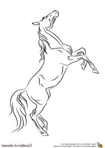 Coloriage Mustang Luxe Galerie 191 Best Images About Coloriages Animaux De Pagnie On