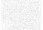 Coloriage Mystere Disney A Imprimer Impressionnant Photos Coloriage Mystere Disney Adulte A Imprimer