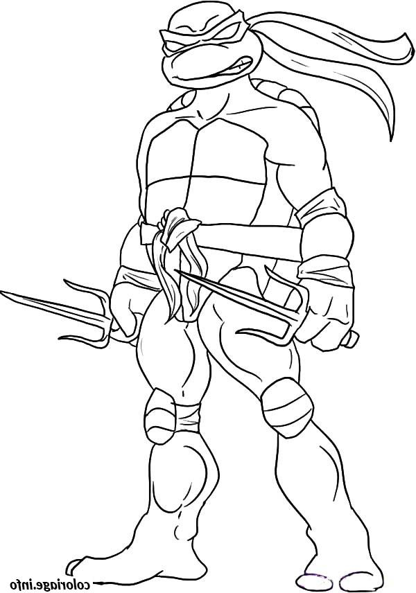 Coloriage Ninja Bestof Photos Weapons Free Coloring Pages