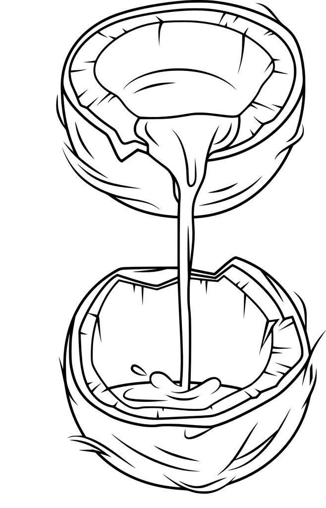 Coloriage Noix Nouveau Stock Coloriage Noix De Coco à Imprimer