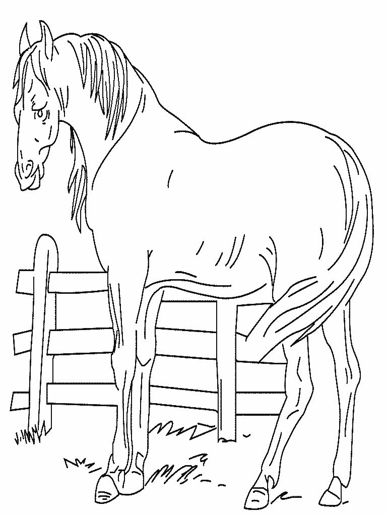 Coloriage Numéroté à Imprimer Cool Photos Coloriage Cheval à Imprimer