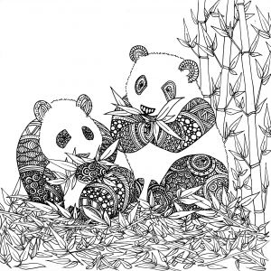 Coloriage Panda Mignon Nouveau Galerie Coloriage De Animaux Panda à Imprimer Par Chocobo