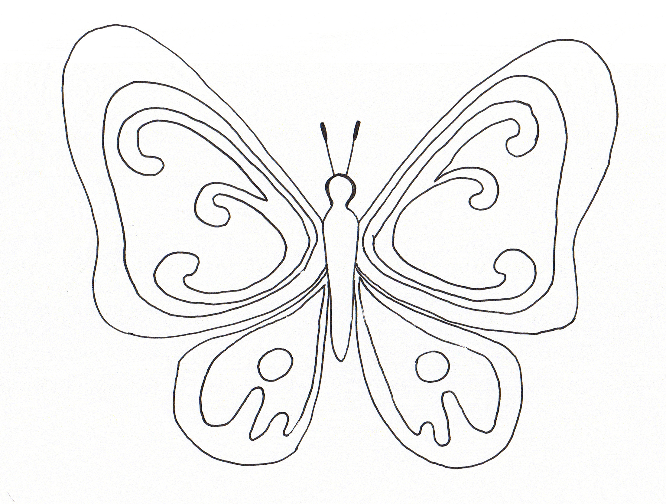 Coloriage Papillon à Imprimer Élégant Galerie Vol De Papillon Coloriages De Papillons