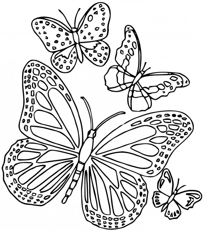Coloriage Papillon à Imprimer Gratuit Impressionnant Galerie Coloriage Paysage De Papillon En Ligne Dessin Gratuit à