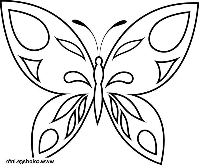 Coloriage Papillon à Imprimer Luxe Photographie Coloriage Papillon 47 Jecolorie