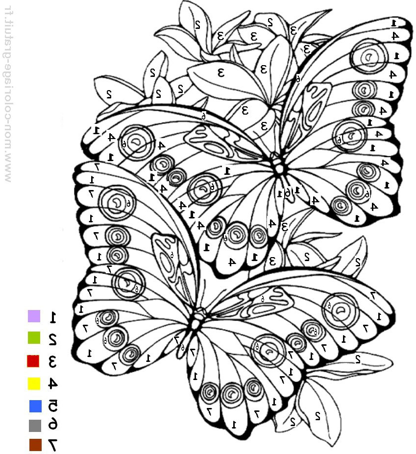 Coloriage Papillon à Imprimer Unique Photos Coloriage Magique Papillon Mon Coloriage En Ligne Gratuit