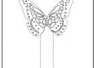 Coloriage Papillon Élégant Collection Dessin De Marque Page