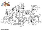 Coloriage Pat Patrouille Chase Cool Collection Coloriage Pat Patrouille Paw Patrol tous Les Chiens Dessin