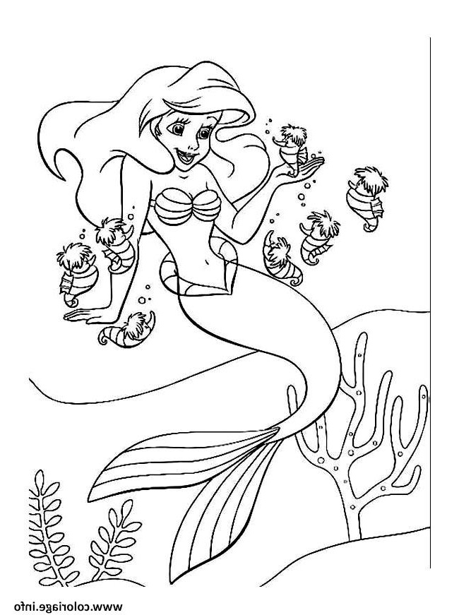 Coloriage Petite Sirene Cool Photographie Coloriage Ariel Arielle Petite Sirene Dessin