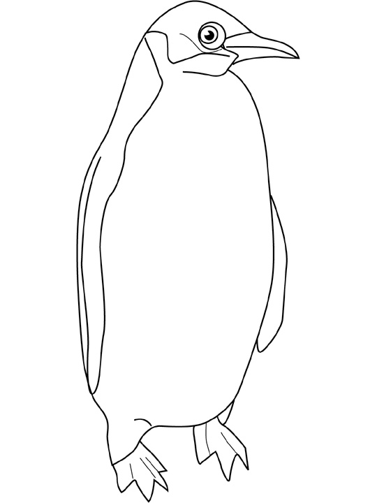 Coloriage Pingouin Unique Photographie Coloriages De Océan Animaux