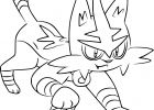 Coloriage Pokemon soleil Lune Beau Photos Nouveau Dessin A Colorier Pokemon Lune Et soleil