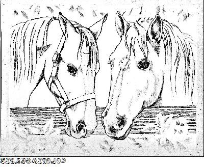 Coloriage Poney Cheval Cool Image Coloriages