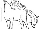 Coloriage Poney Cheval Cool Photos Un Beau Coloriage Du Cheval De Barbie à Colorier À