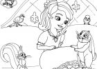 Coloriage Princesse à Imprimer Unique Photos Coloriage Princesse sofia Sur son Lit Avec Un Lapin Dessin