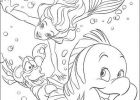 Coloriage Princesse Disney Ariel Beau Photos Disegni Della Sirenetta Ariel Da Stampare E Colorare