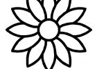 Coloriage Printemps Fleurs Cool Photos Coloriage Fleur 24 Dessin Gratuit à Imprimer