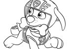 Coloriage Rocky Pat Patrouille Bestof Image Coloriage Pat Patrouille à Télécharger Gratuitement