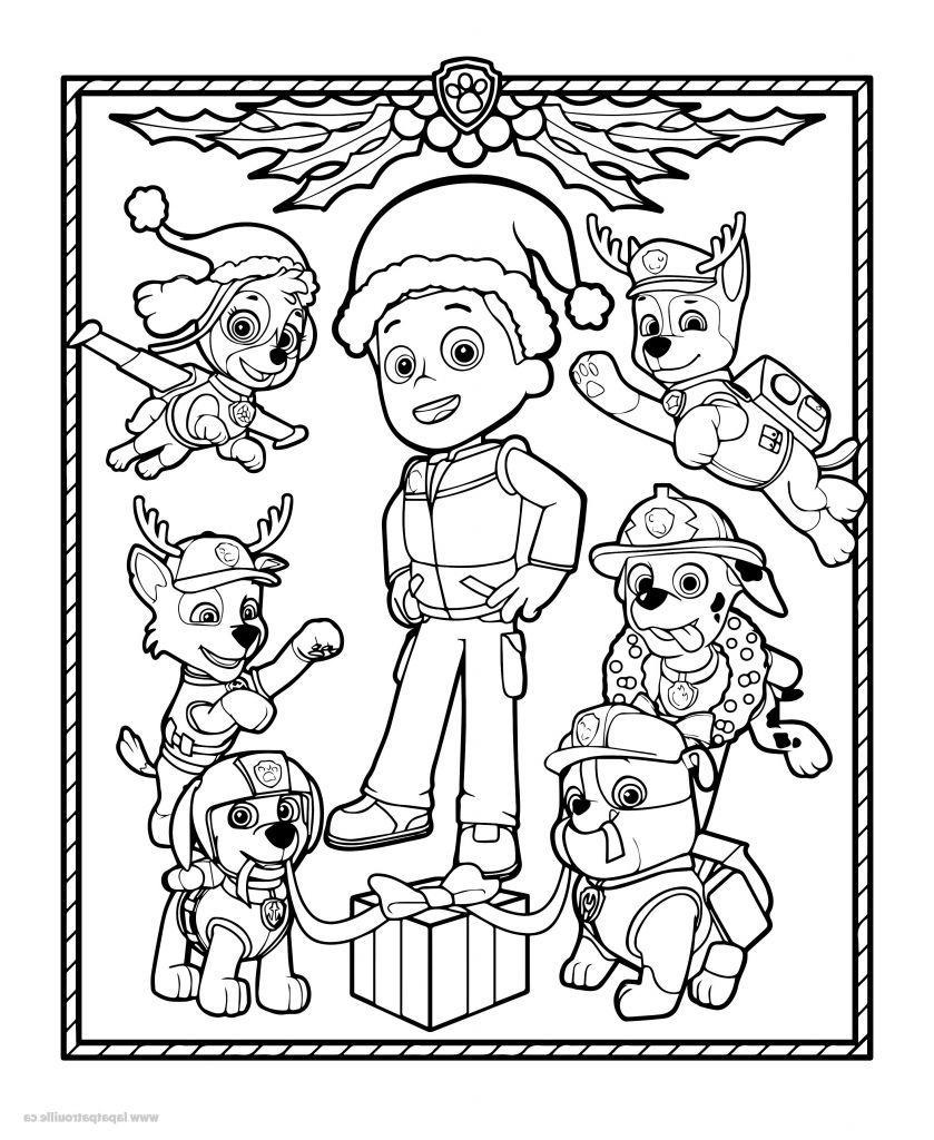 Coloriage Rocky Pat Patrouille Impressionnant Photographie Coloriage De