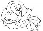 Coloriage Rose Et Coeur Beau Image 63 Dessins De Coloriage Rose Et Coeur à Imprimer Sur