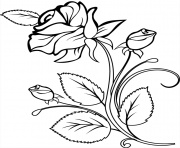 Coloriage Rose Et Coeur Élégant Galerie Coloriage Rose à Imprimer Dessin Sur Coloriagefo