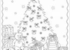 Coloriage Sapin à Imprimer Cool Collection Cocolico Creations Coloriages