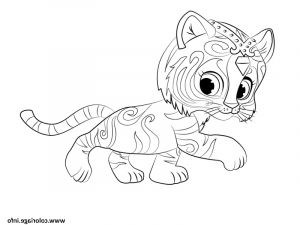 Coloriage Shimmer and Shine Élégant Photographie Coloriage Tiger Nahal From Shimmer Et Shine Dessin