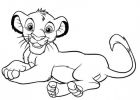 Coloriage Simba Impressionnant Collection Coloriage Dessin Roi Lion Facile Dessin Gratuit à Imprimer